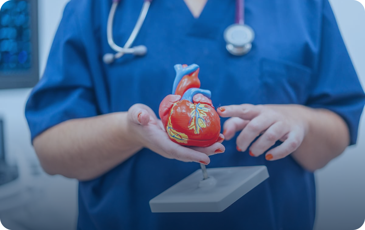 Почему препараты на основе джозамицина не вызывают кардиотоксичности, в отличие от фторхинолонов и макролидов